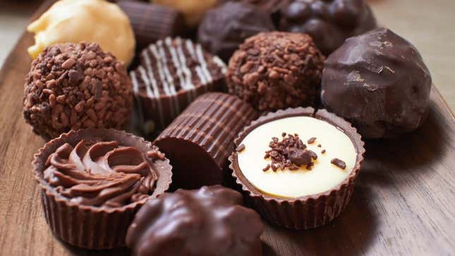 Image for article titled Our Chocolate Supply Could Be in Trouble