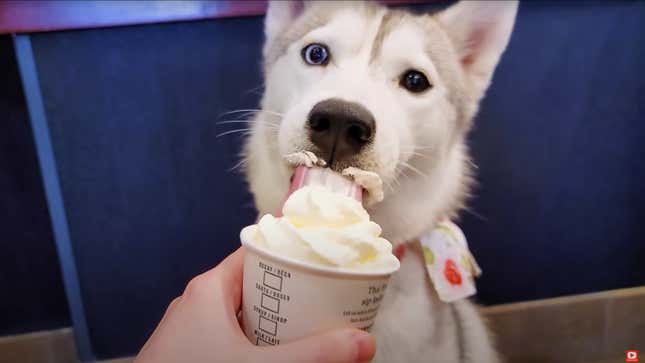 Image for article titled 7 Ways to Become a Better Starbucks Customer