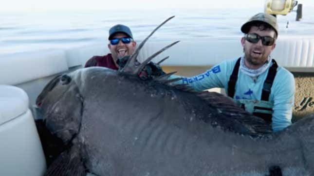 Men pose with giant grouper in boat
